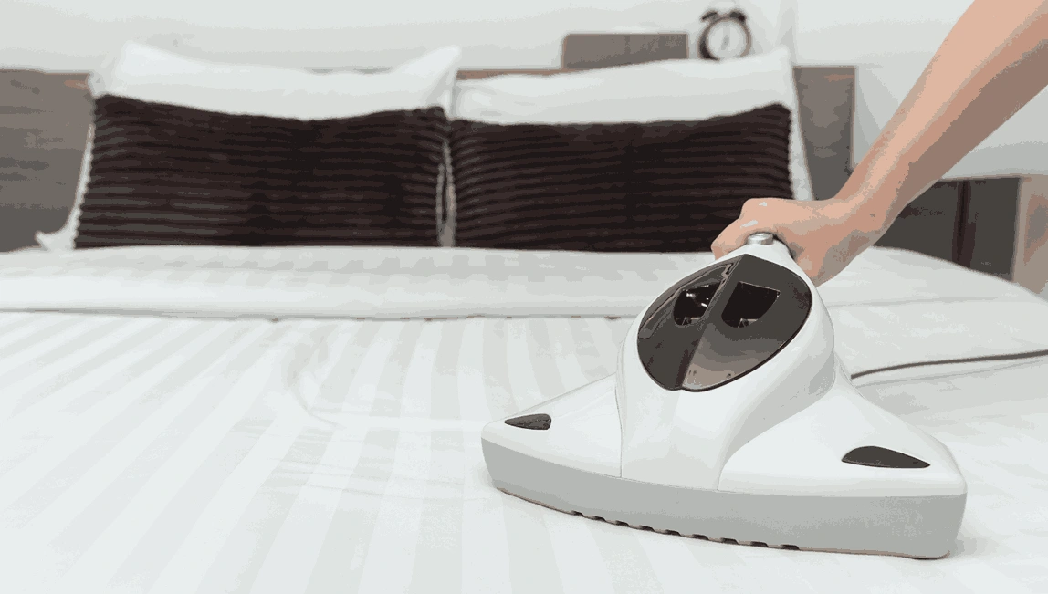 Professional Mattress Cleaning Bedford Road